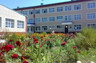 https://kyrgyzcha.site/?p=47868&preview=true