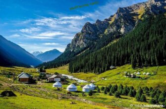 https://kyrgyzcha.site/?p=47879&preview=true
