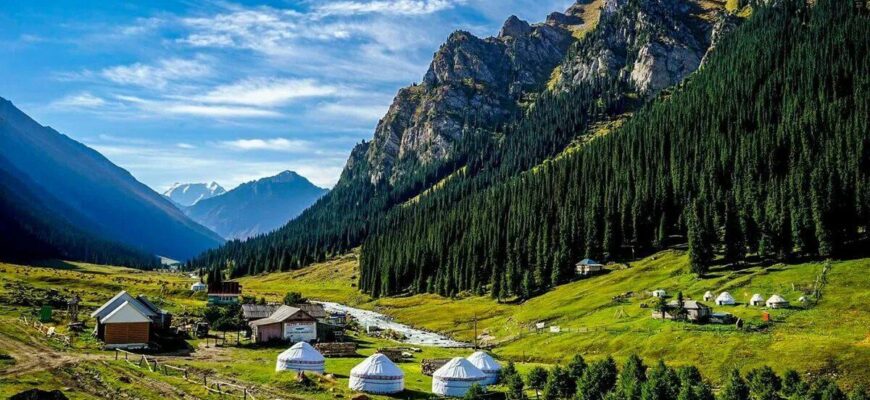 https://kyrgyzcha.site/?p=47879&preview=true