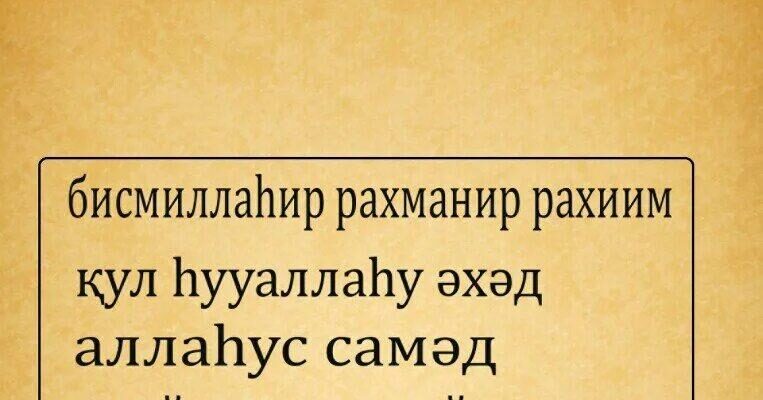 https://kyrgyzcha.site/?p=47577&preview=true
