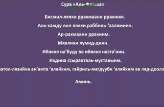 https://kyrgyzcha.site/?p=47818&preview=true