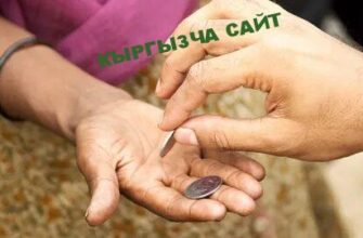 https://kyrgyzcha.site/?p=47917&preview=true