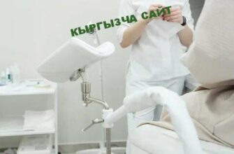 https://kyrgyzcha.site/?p=47518&preview=true