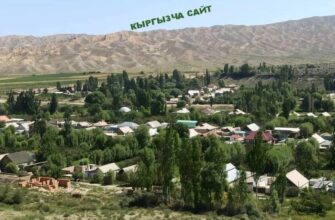 https://kyrgyzcha.site/?p=47523&preview=true