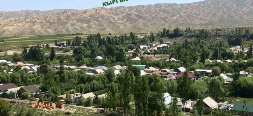https://kyrgyzcha.site/?p=47523&preview=true