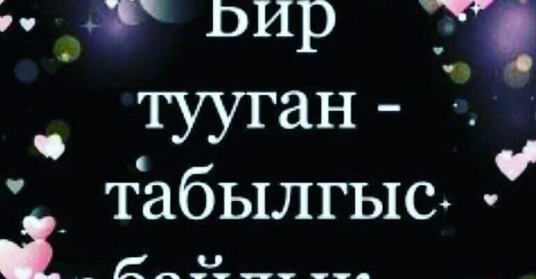 https://kyrgyzcha.site/?p=49350&preview=true