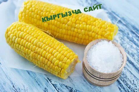 https://kyrgyzcha.site/?p=49689&preview=true