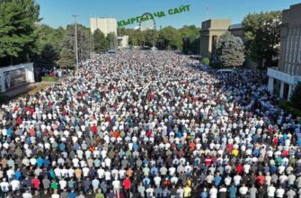 https://kyrgyzcha.site/?p=50045&preview=true