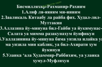 https://kyrgyzcha.site/?p=50424&preview=true