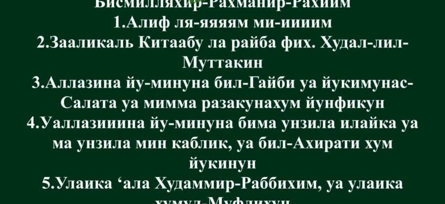 https://kyrgyzcha.site/?p=50424&preview=true