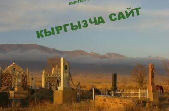 https://kyrgyzcha.site/?p=50063&preview=true
