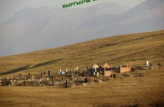 https://kyrgyzcha.site/?p=50071&preview=true