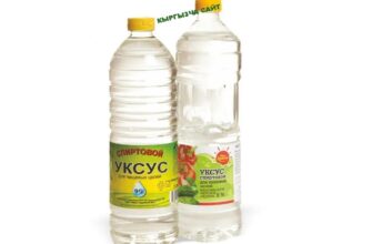https://kyrgyzcha.site/?p=49647&preview=true