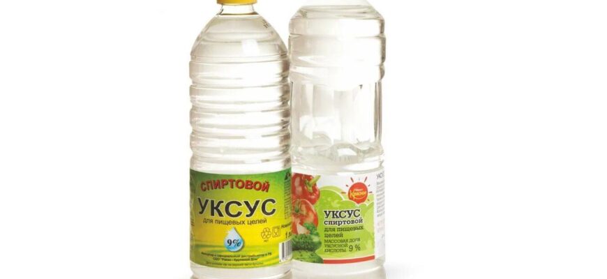 https://kyrgyzcha.site/?p=49647&preview=true