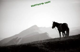 https://kyrgyzcha.site/?p=51129&preview=true