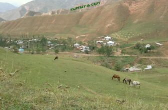 https://kyrgyzcha.site/?p=51100&preview=true