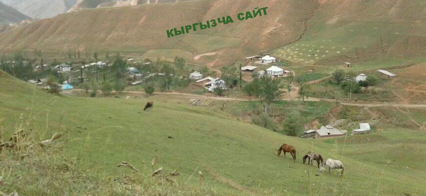 Кызыл Коргон Киргизия