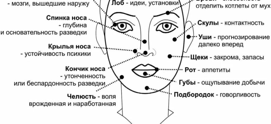 https://kyrgyzcha.site/?p=54426&preview=true