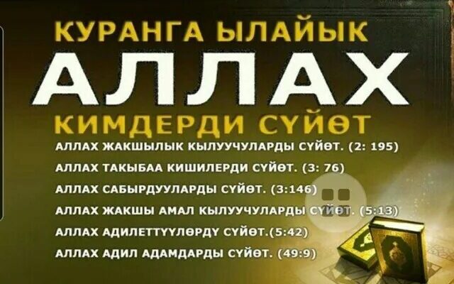 https://kyrgyzcha.site/?p=55872&preview=true
