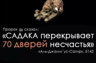 https://kyrgyzcha.site/?p=60408&preview=true