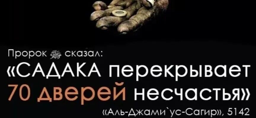 https://kyrgyzcha.site/?p=60408&preview=true