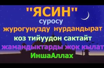 https://kyrgyzcha.site/?p=64873&preview=true