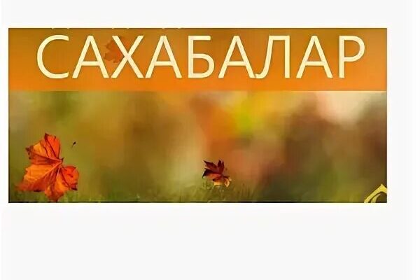 https://kyrgyzcha.site/?p=68570&preview=true