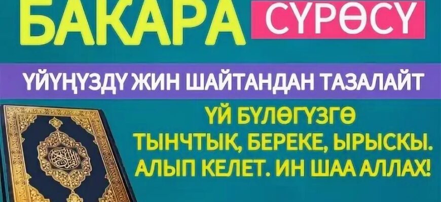 https://kyrgyzcha.site/?p=68544&preview=true
