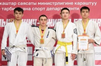 Спортсмены из Токмока заняли призовые места на республиканском чемпионате по джиу-джитсу