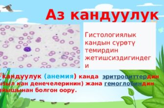 https://kyrgyzcha.site/?p=102452&preview=true