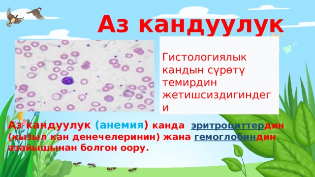 https://kyrgyzcha.site/?p=102452&preview=true