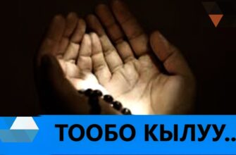 https://kyrgyzcha.site/?p=102446&preview=true
